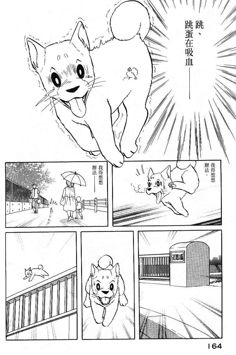 柴王 - VOL05 - 第167张图