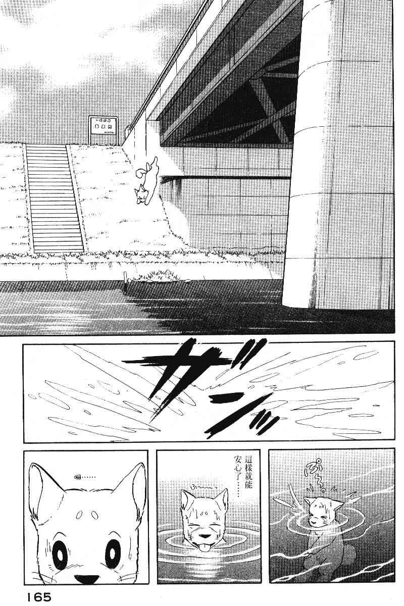 柴王 - VOL05 - 第168张图