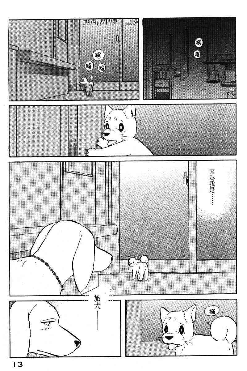 柴王 - VOL05 - 第16张图