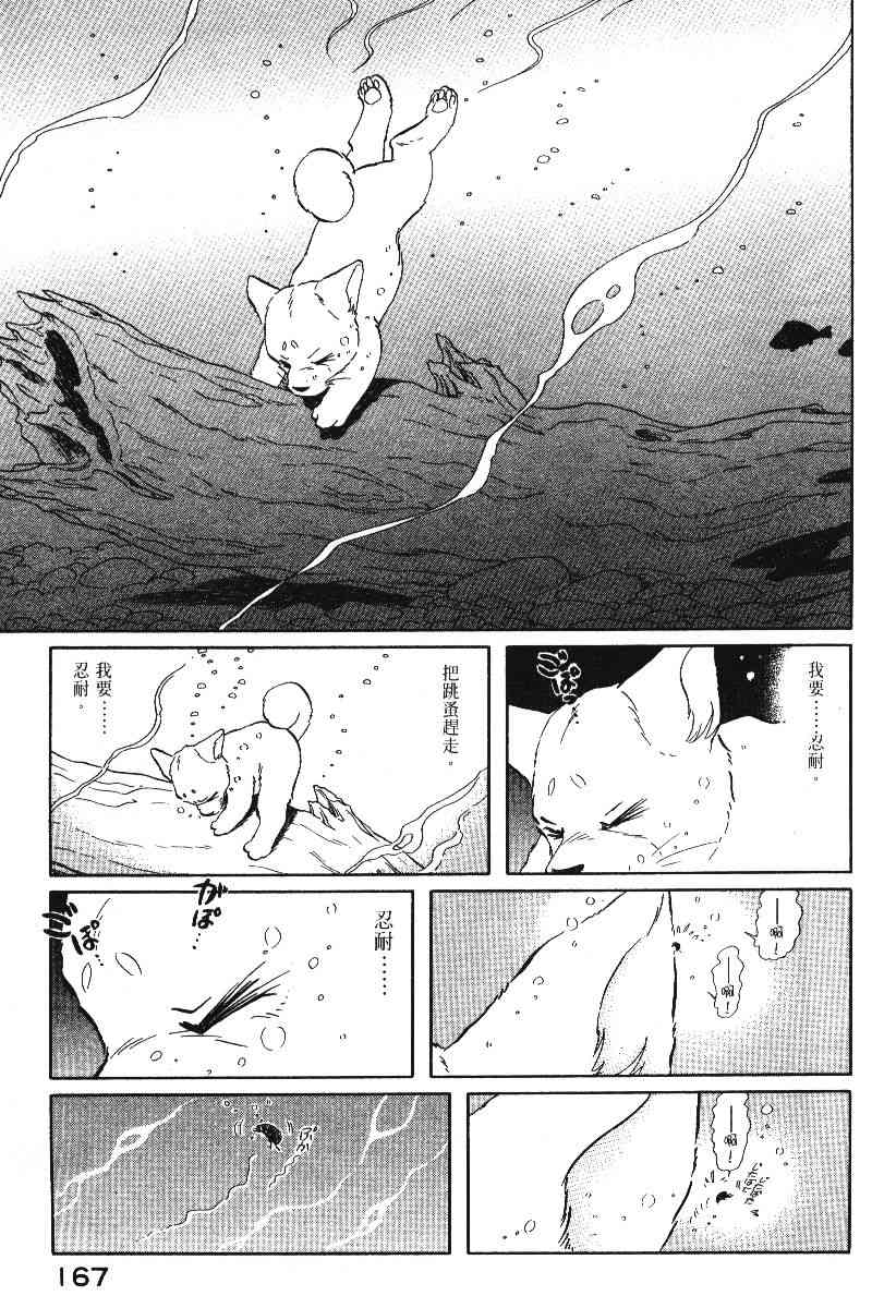 柴王 - VOL05 - 第170张图