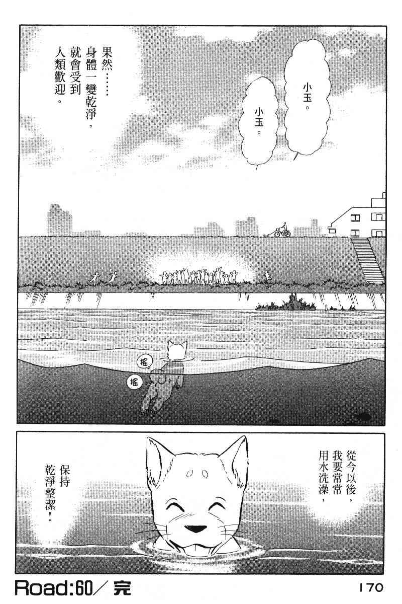 柴王 - VOL05 - 第173张图