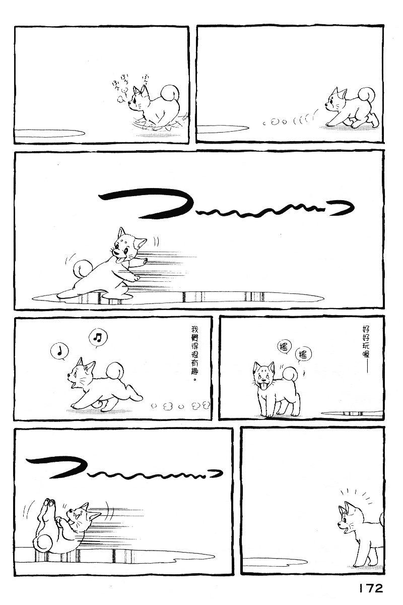 柴王 - VOL05 - 第175张图