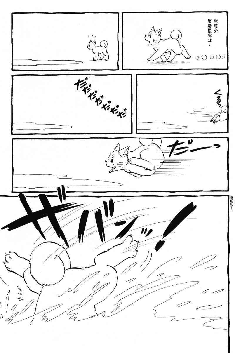 柴王 - VOL05 - 第176张图