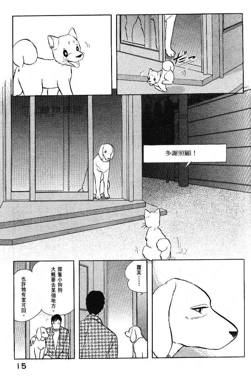 柴王 - VOL05 - 第18张图