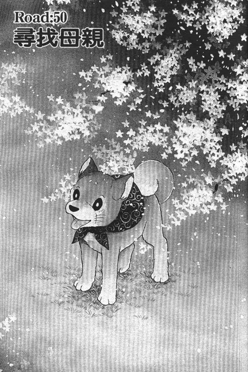 柴王 - VOL05 - 第20张图