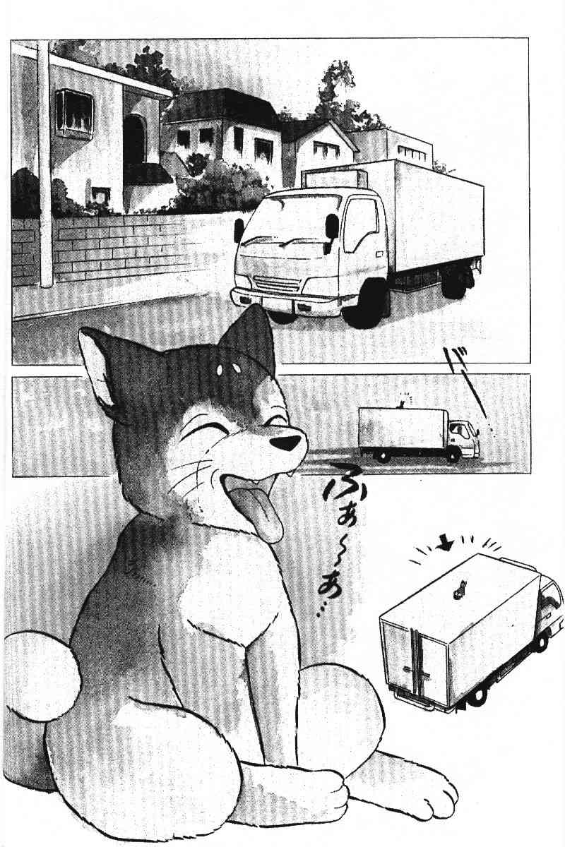 柴王 - VOL05 - 第21张图