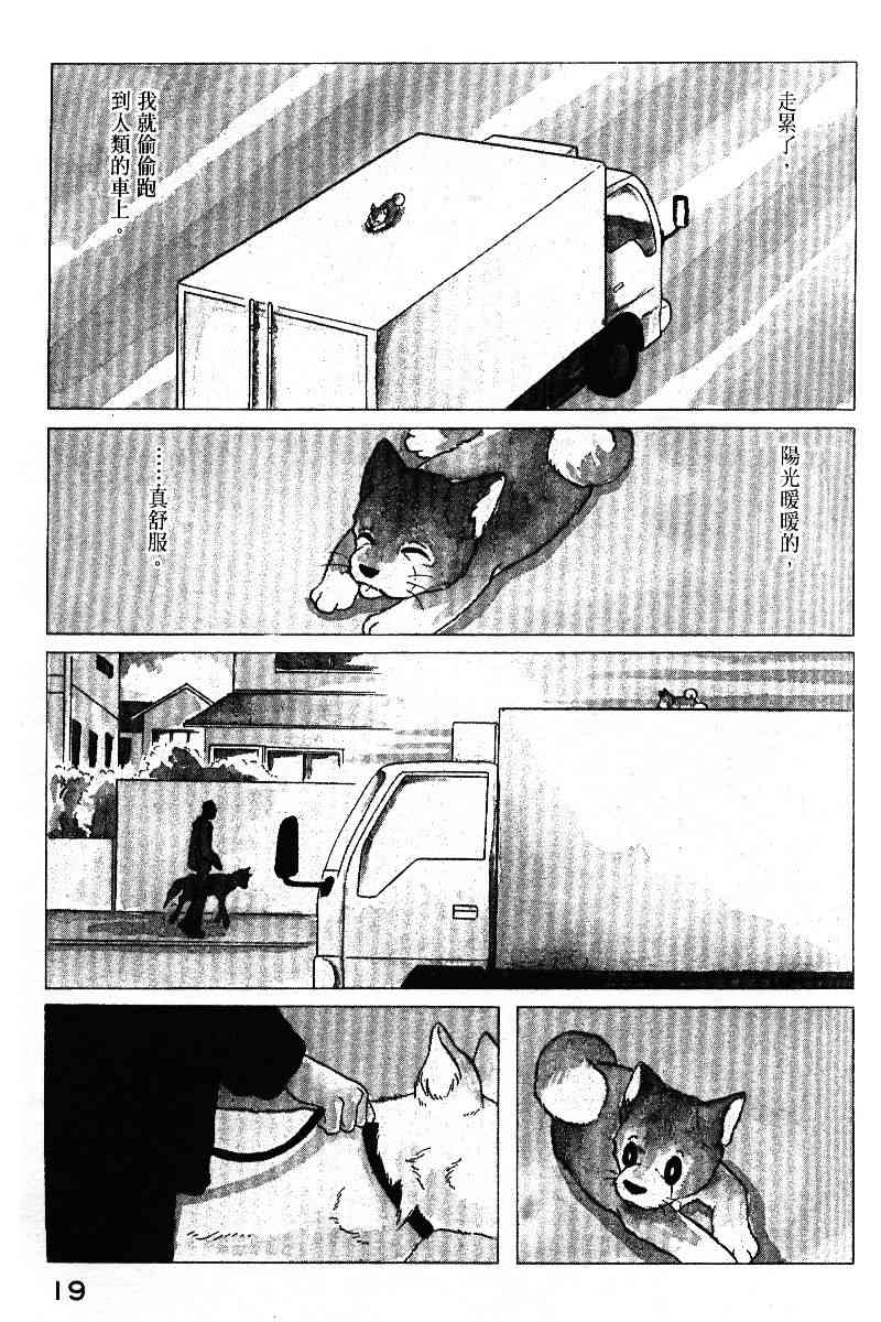 柴王 - VOL05 - 第22张图