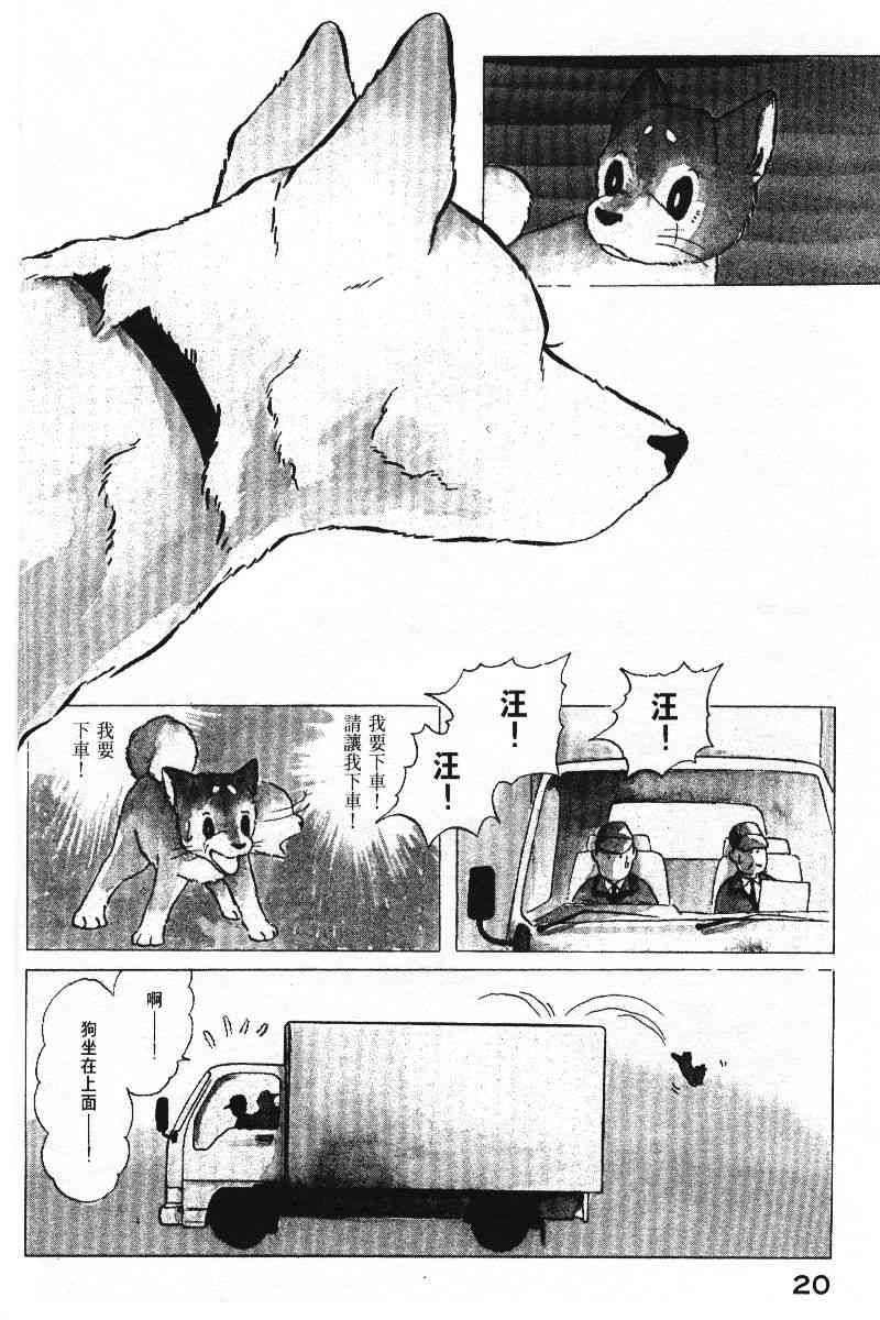 柴王 - VOL05 - 第23张图