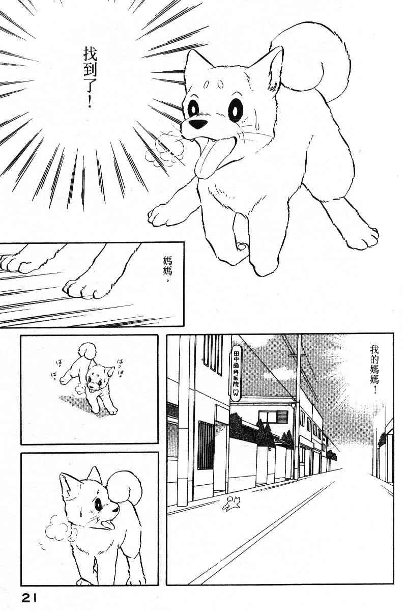 柴王 - VOL05 - 第24张图