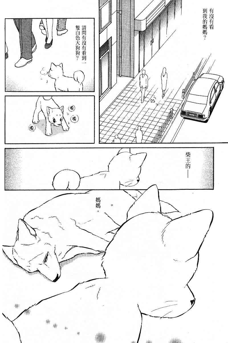 柴王 - VOL05 - 第25张图