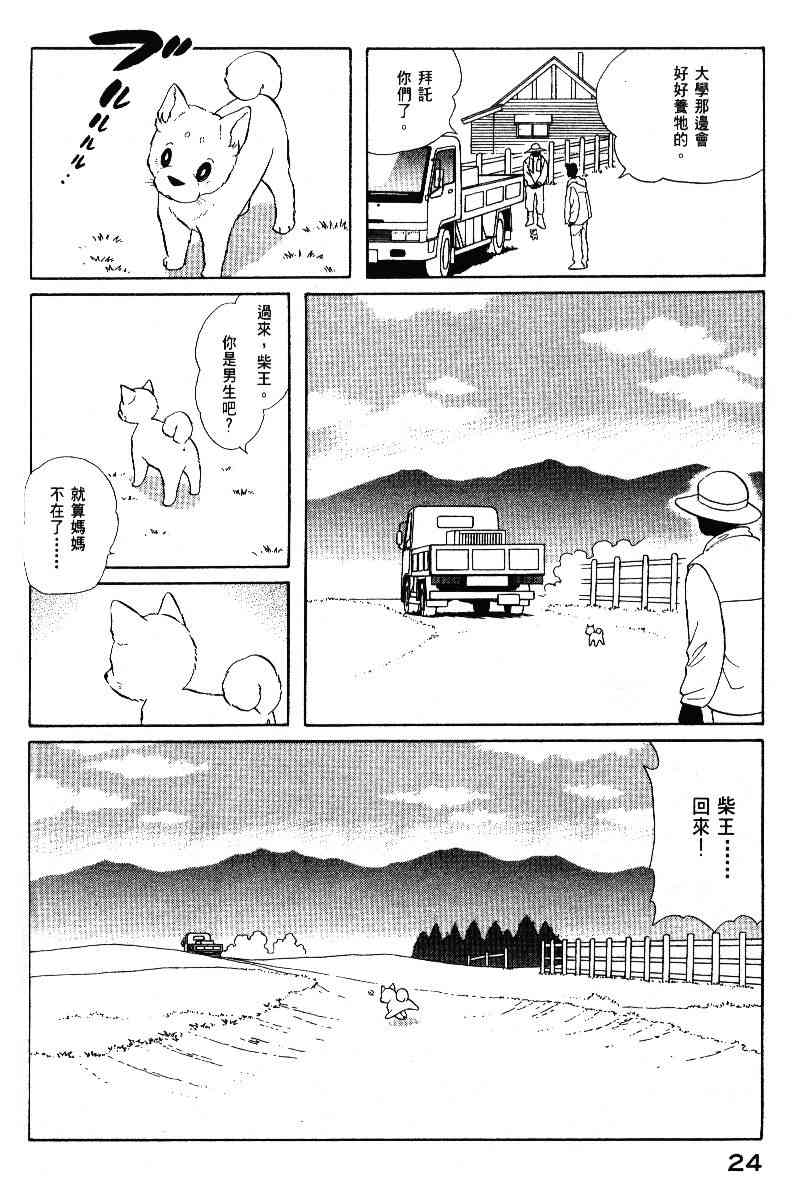 柴王 - VOL05 - 第27张图