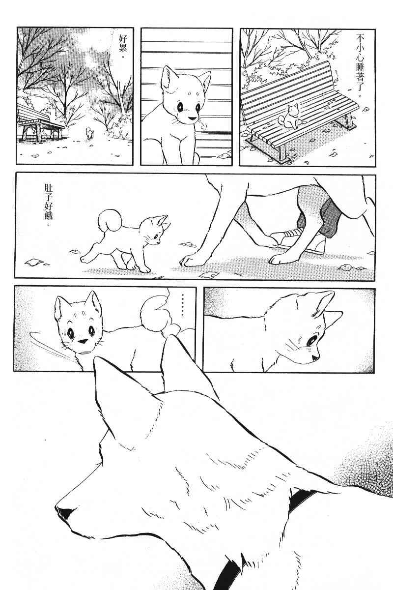 柴王 - VOL05 - 第29张图