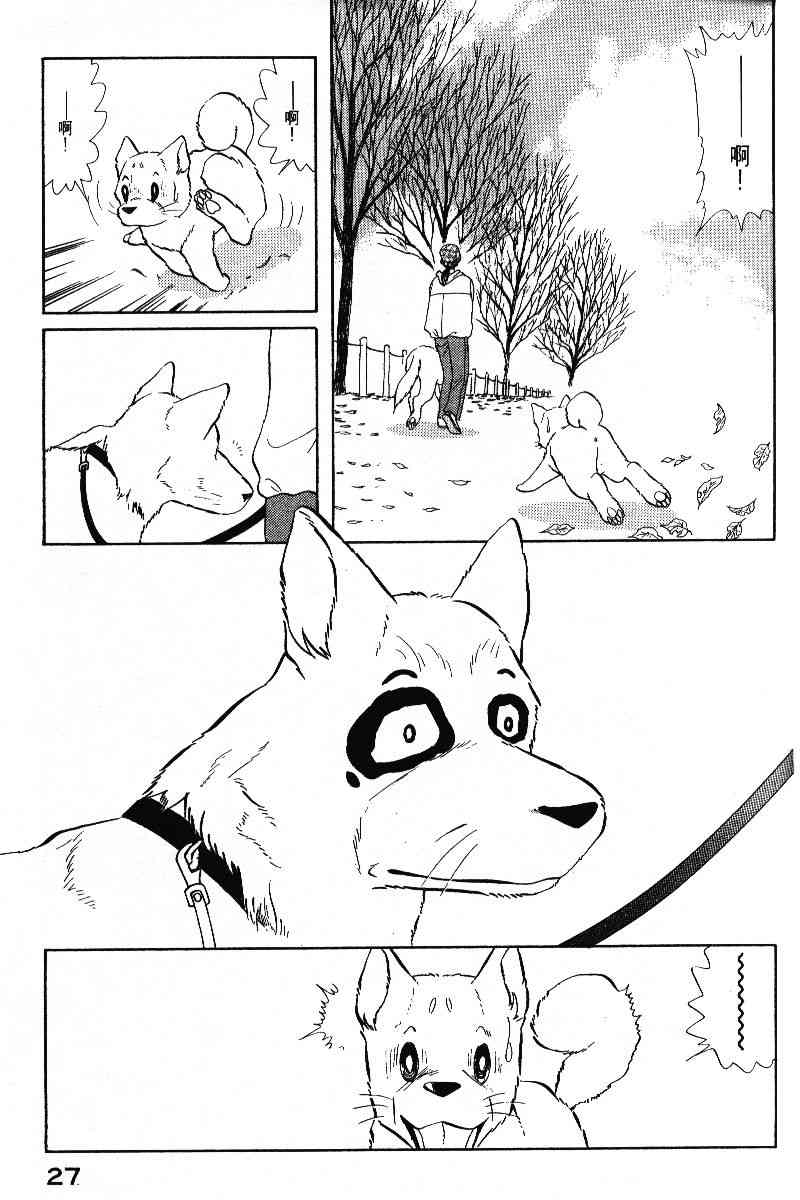 柴王 - VOL05 - 第30张图