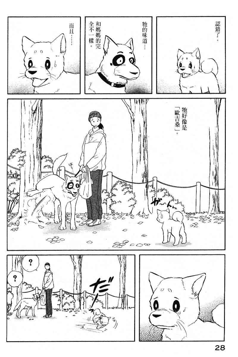 柴王 - VOL05 - 第31张图