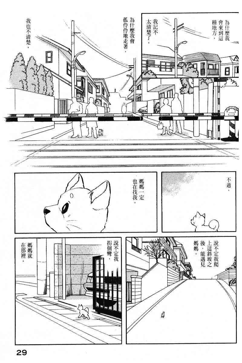 柴王 - VOL05 - 第32张图