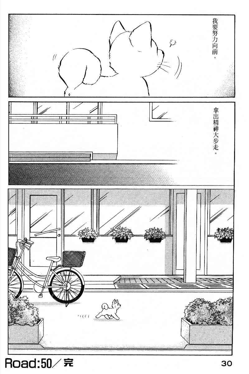 柴王 - VOL05 - 第33张图