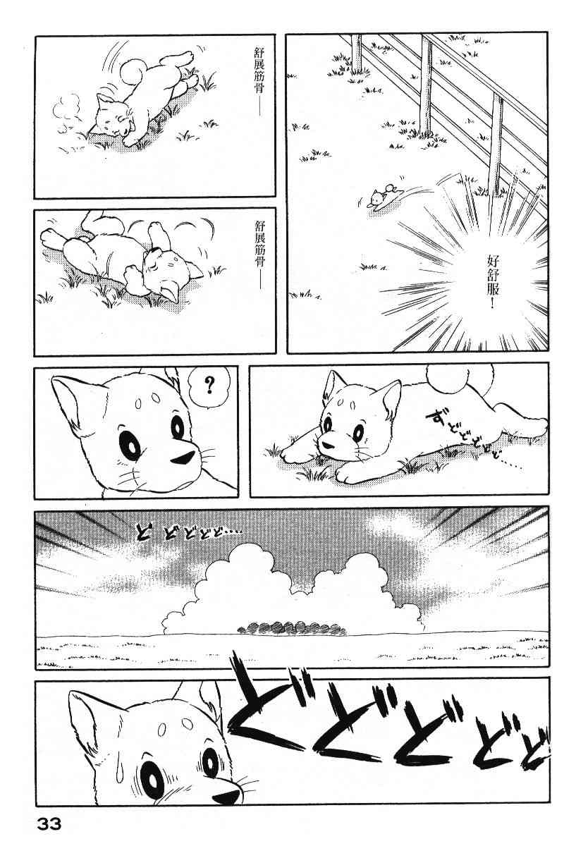 柴王 - VOL05 - 第36张图