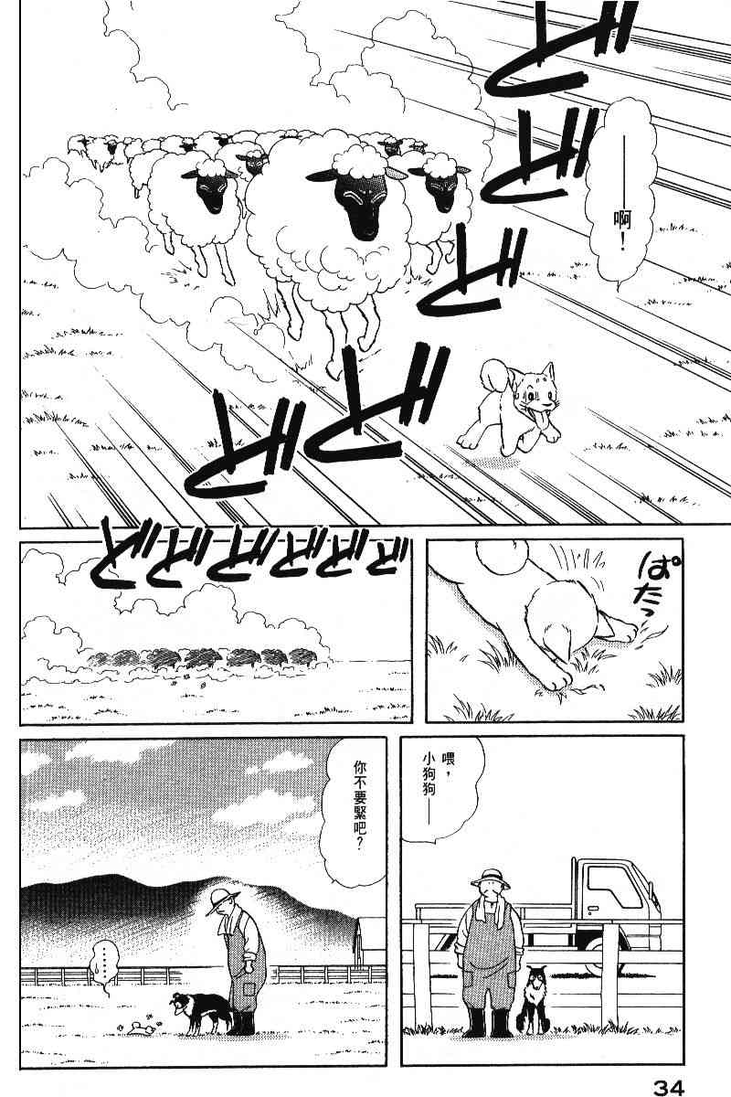 柴王 - VOL05 - 第37张图