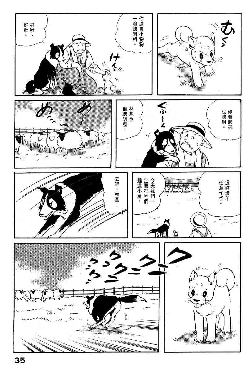 柴王 - VOL05 - 第38张图