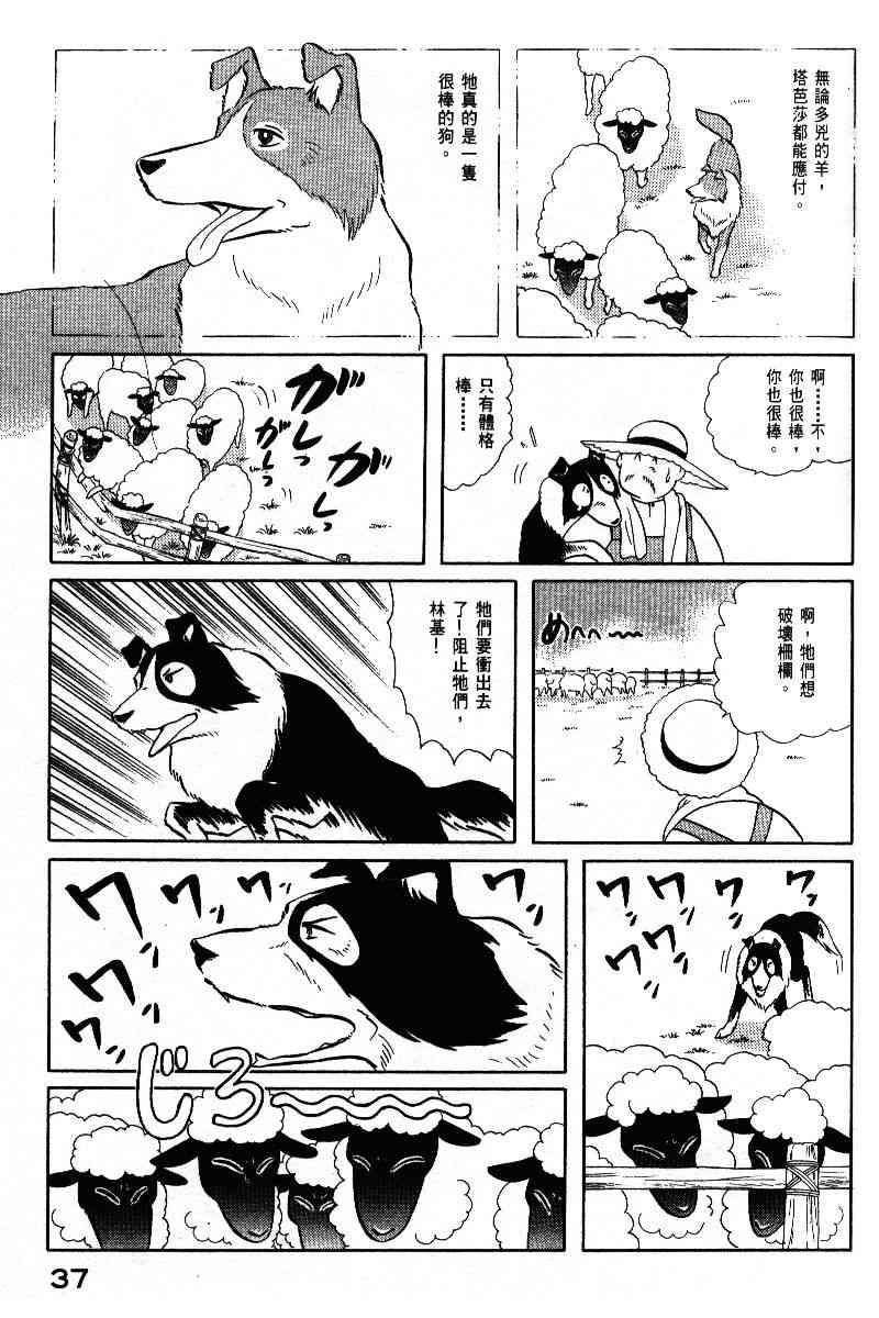 柴王 - VOL05 - 第40张图