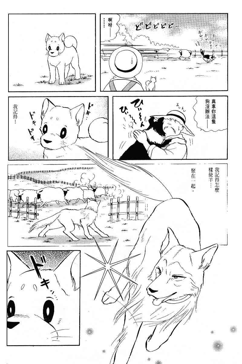 柴王 - VOL05 - 第41张图