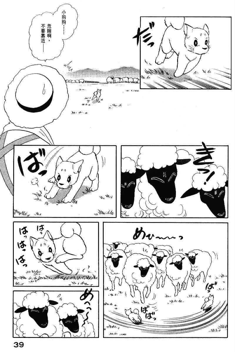 柴王 - VOL05 - 第42张图