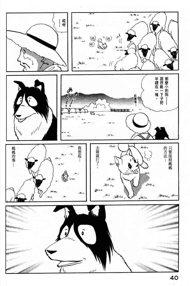 柴王 - VOL05 - 第43张图