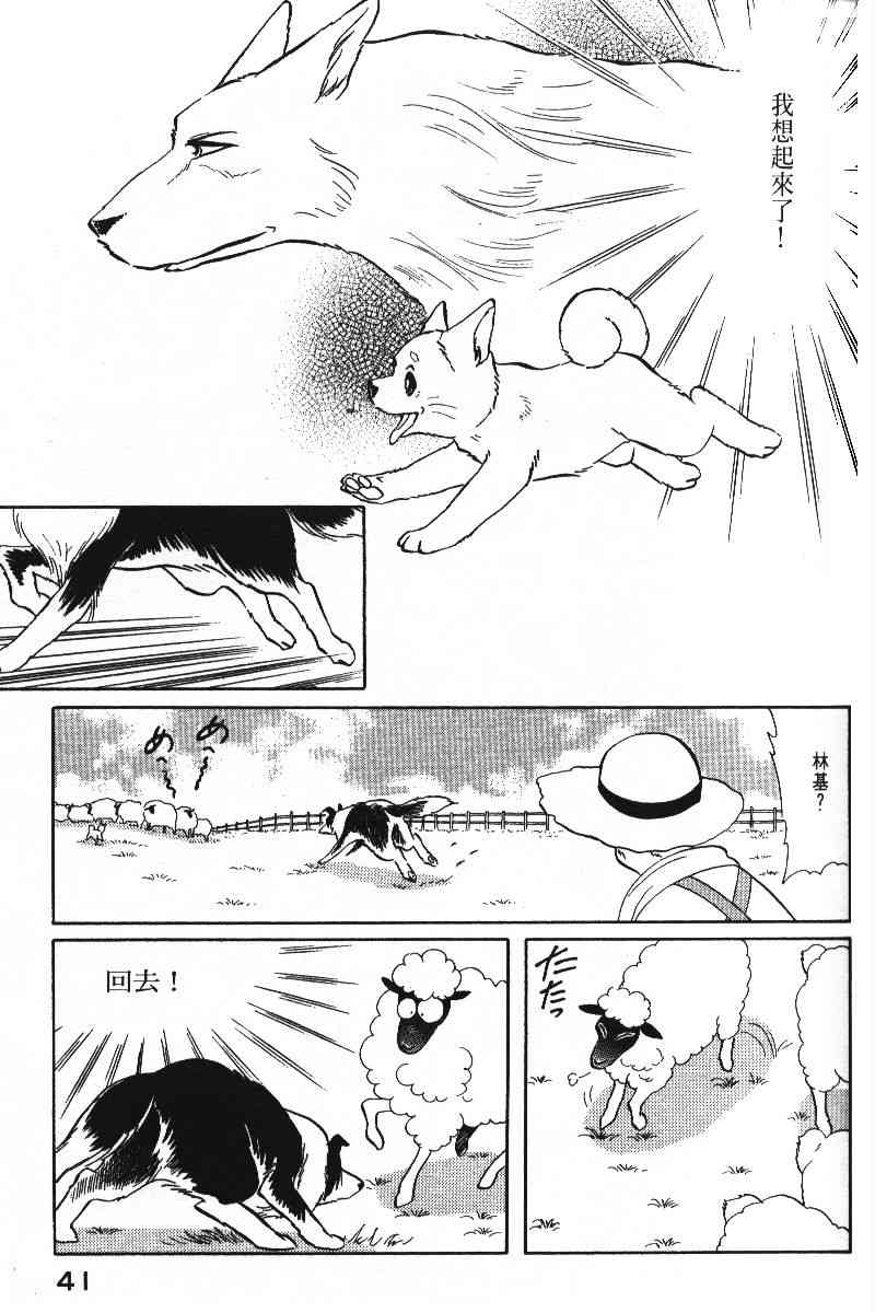 柴王 - VOL05 - 第44张图