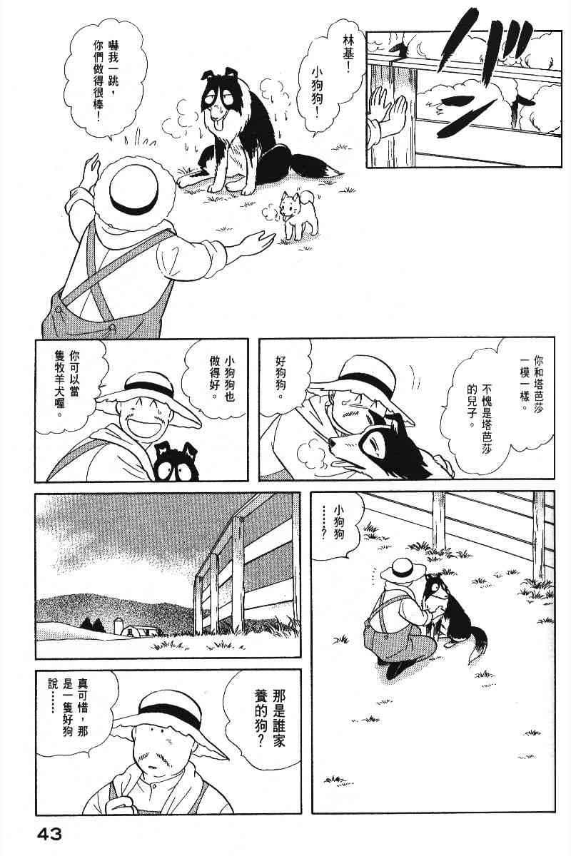 柴王 - VOL05 - 第46张图