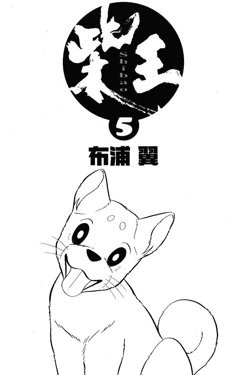 柴王 - VOL05 - 第4张图