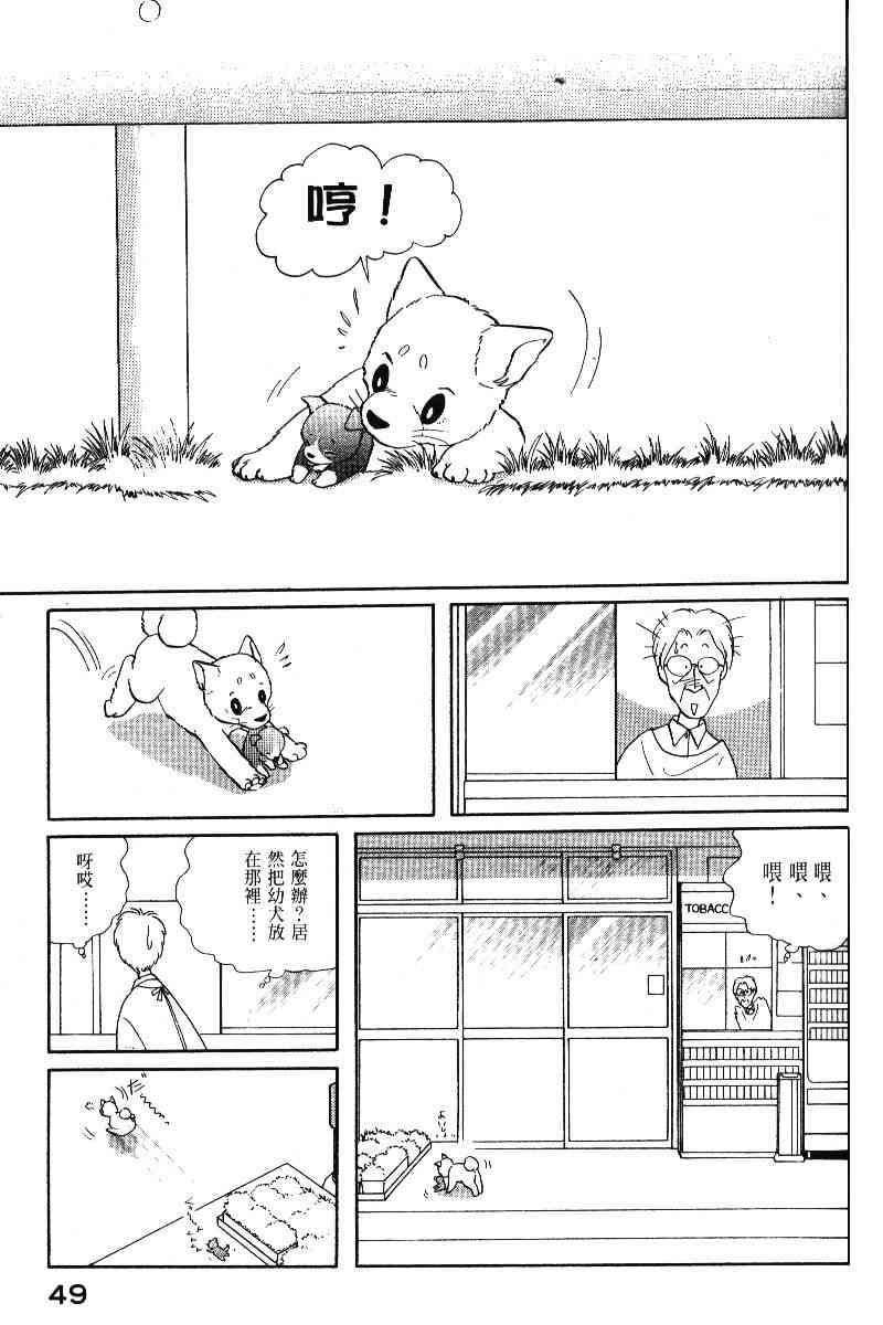 柴王 - VOL05 - 第52张图