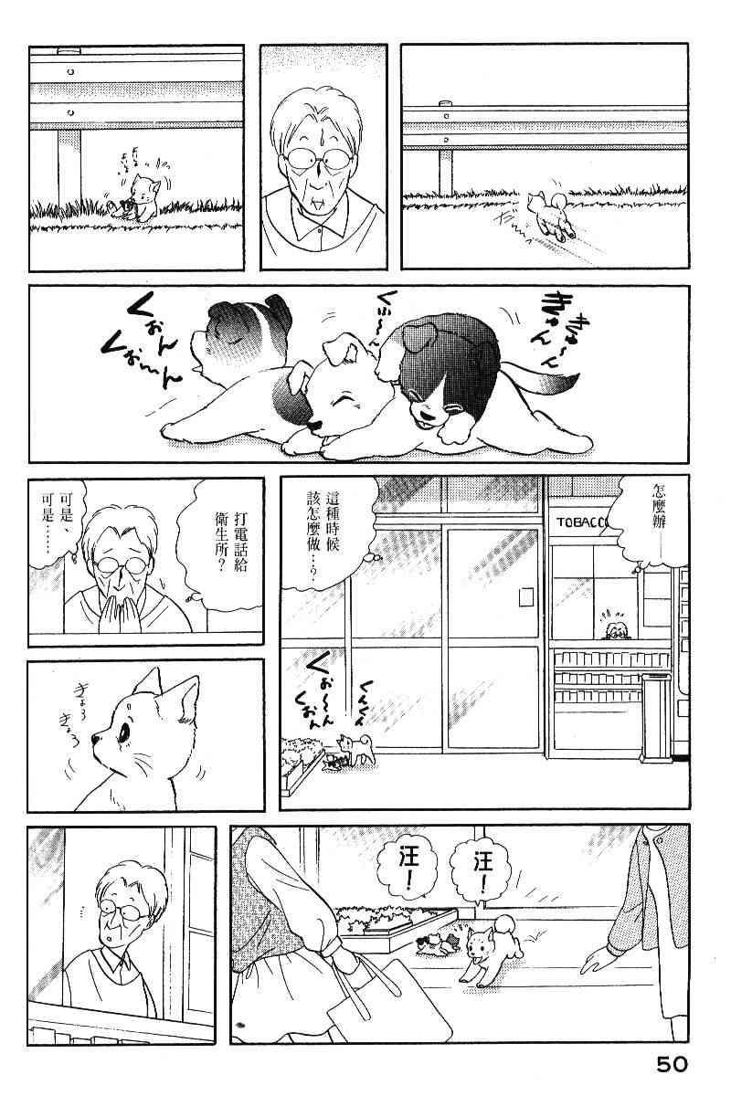 柴王 - VOL05 - 第53张图