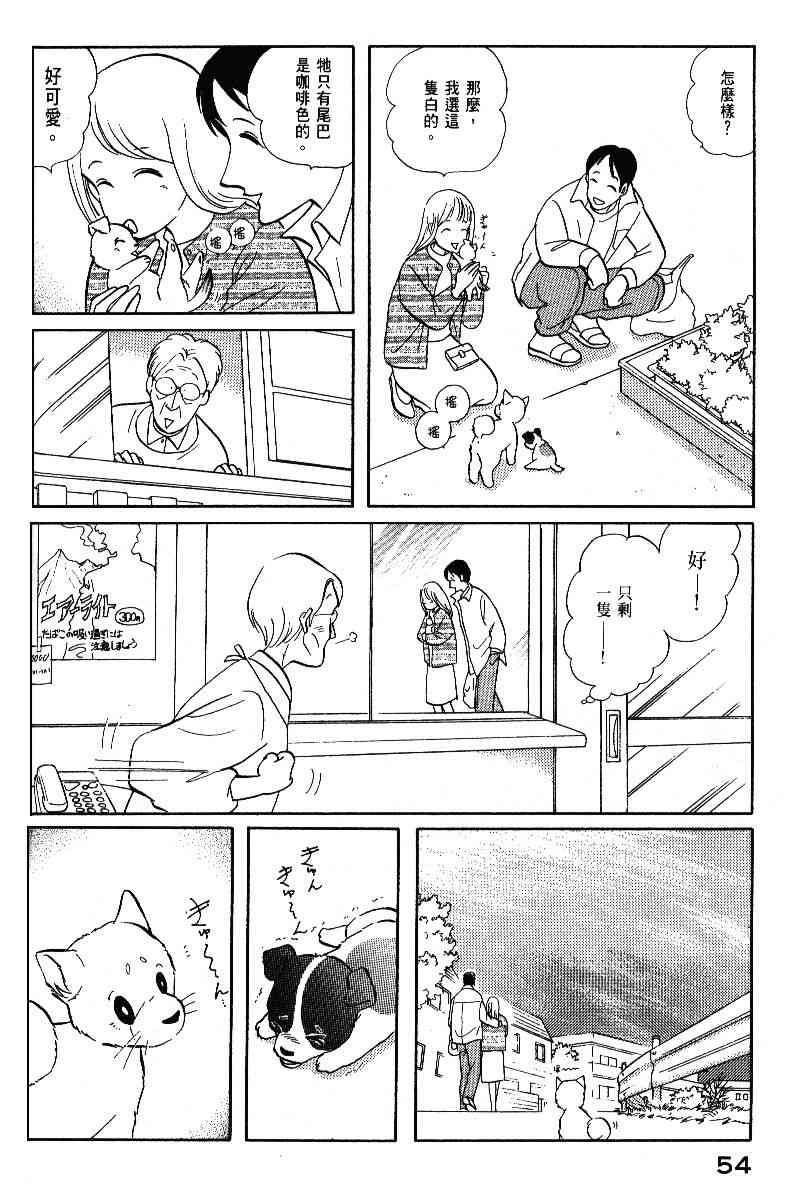 柴王 - VOL05 - 第57张图