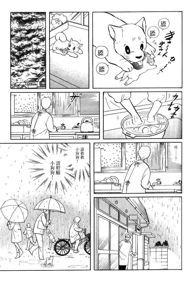 柴王 - VOL05 - 第58张图