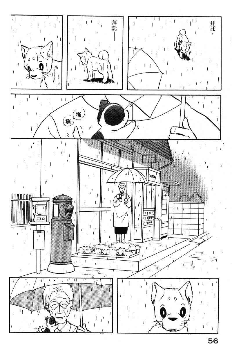 柴王 - VOL05 - 第59张图