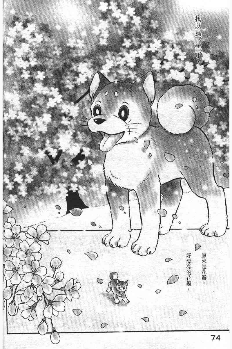 柴王 - VOL05 - 第77张图