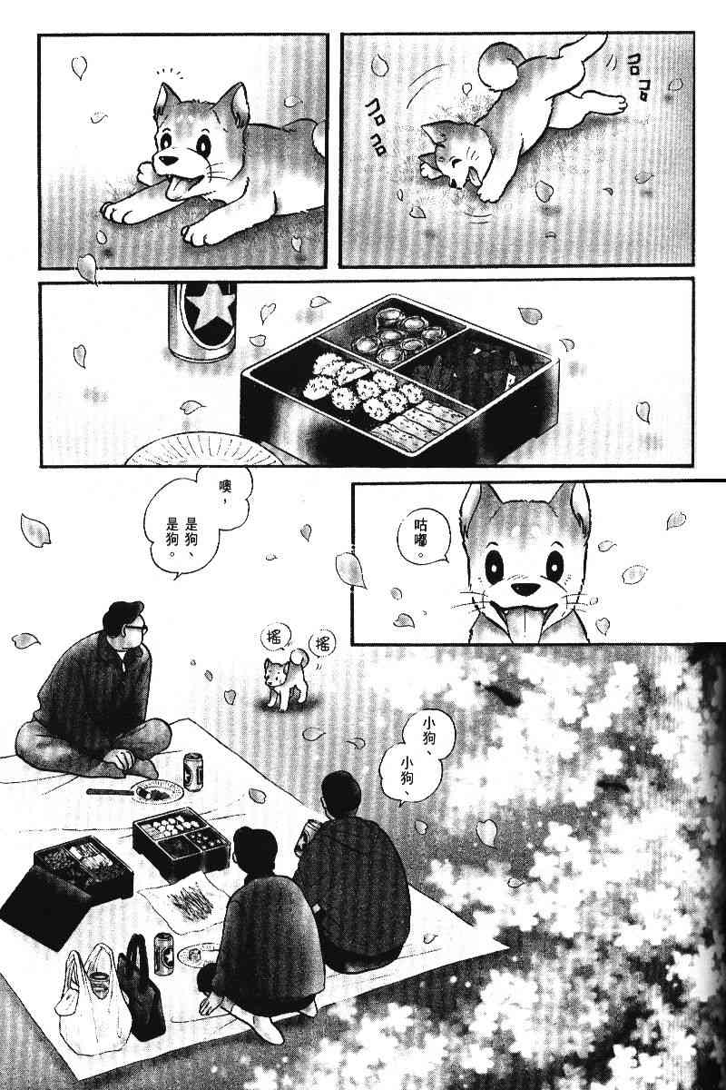 柴王 - VOL05 - 第78张图