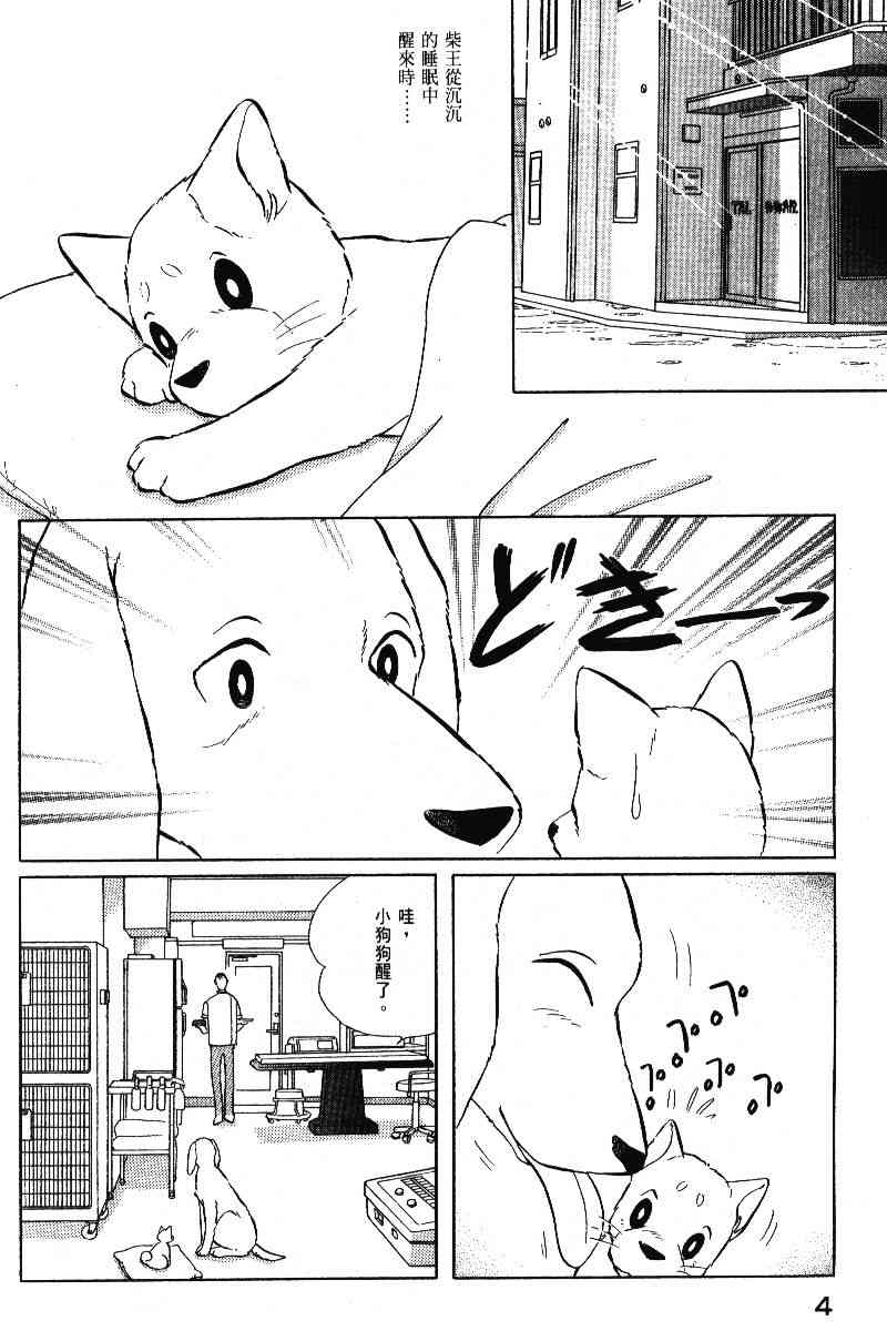 柴王 - VOL05 - 第7张图