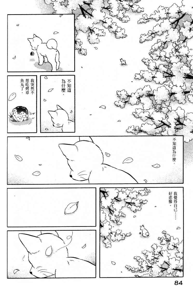 柴王 - VOL05 - 第87张图