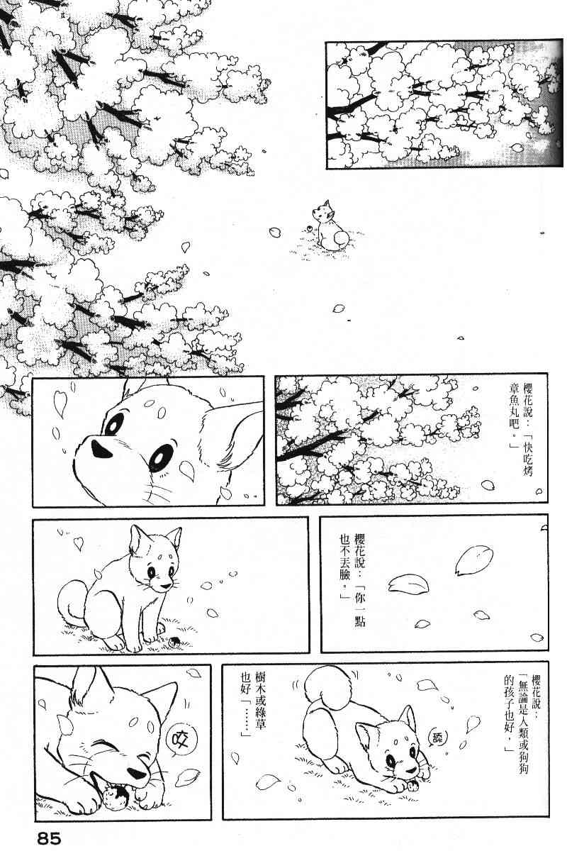 柴王 - VOL05 - 第88张图