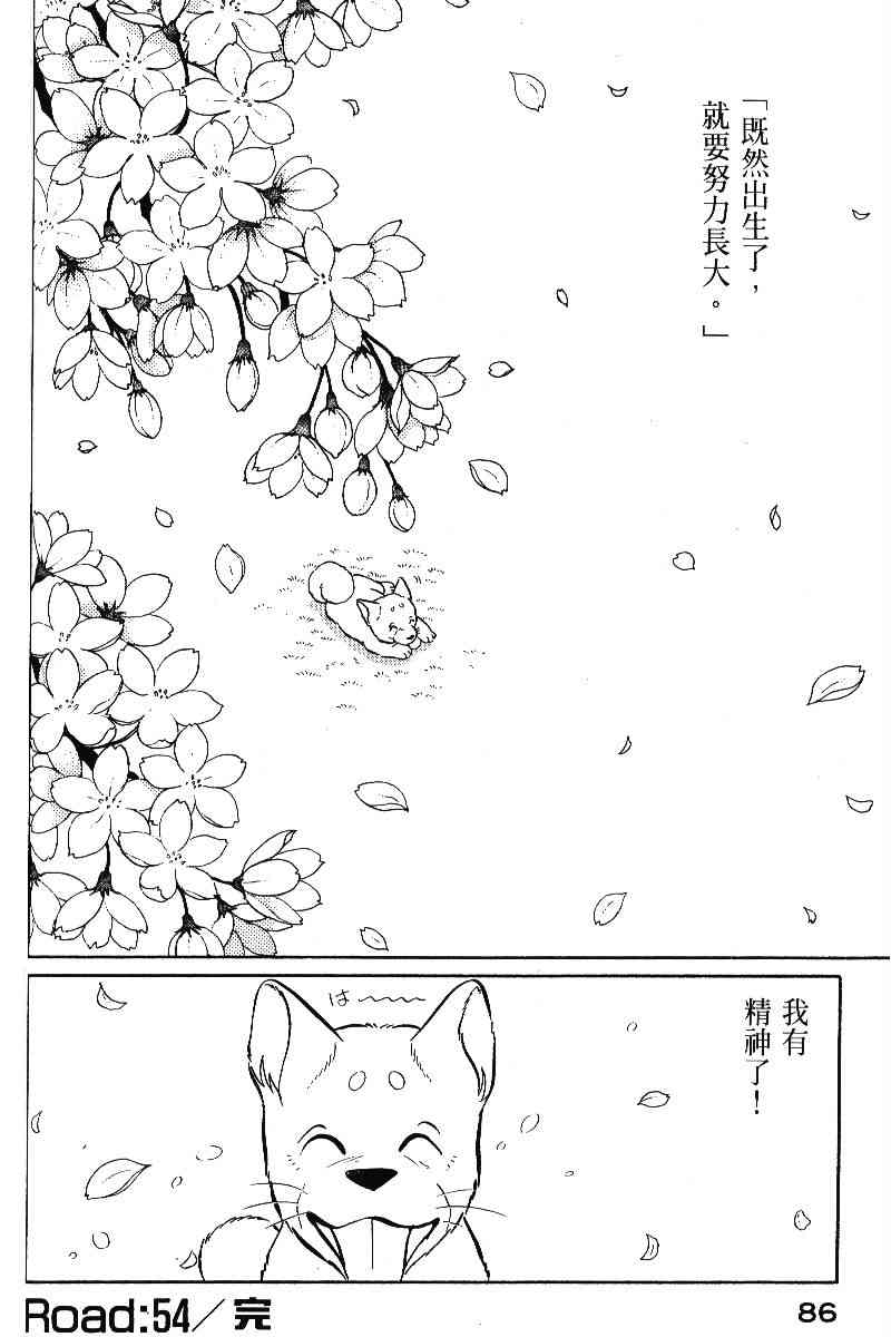 柴王 - VOL05 - 第89张图