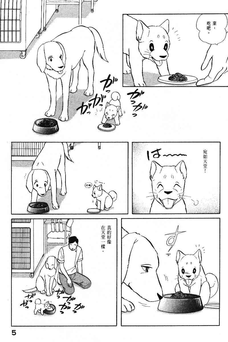 柴王 - VOL05 - 第8张图