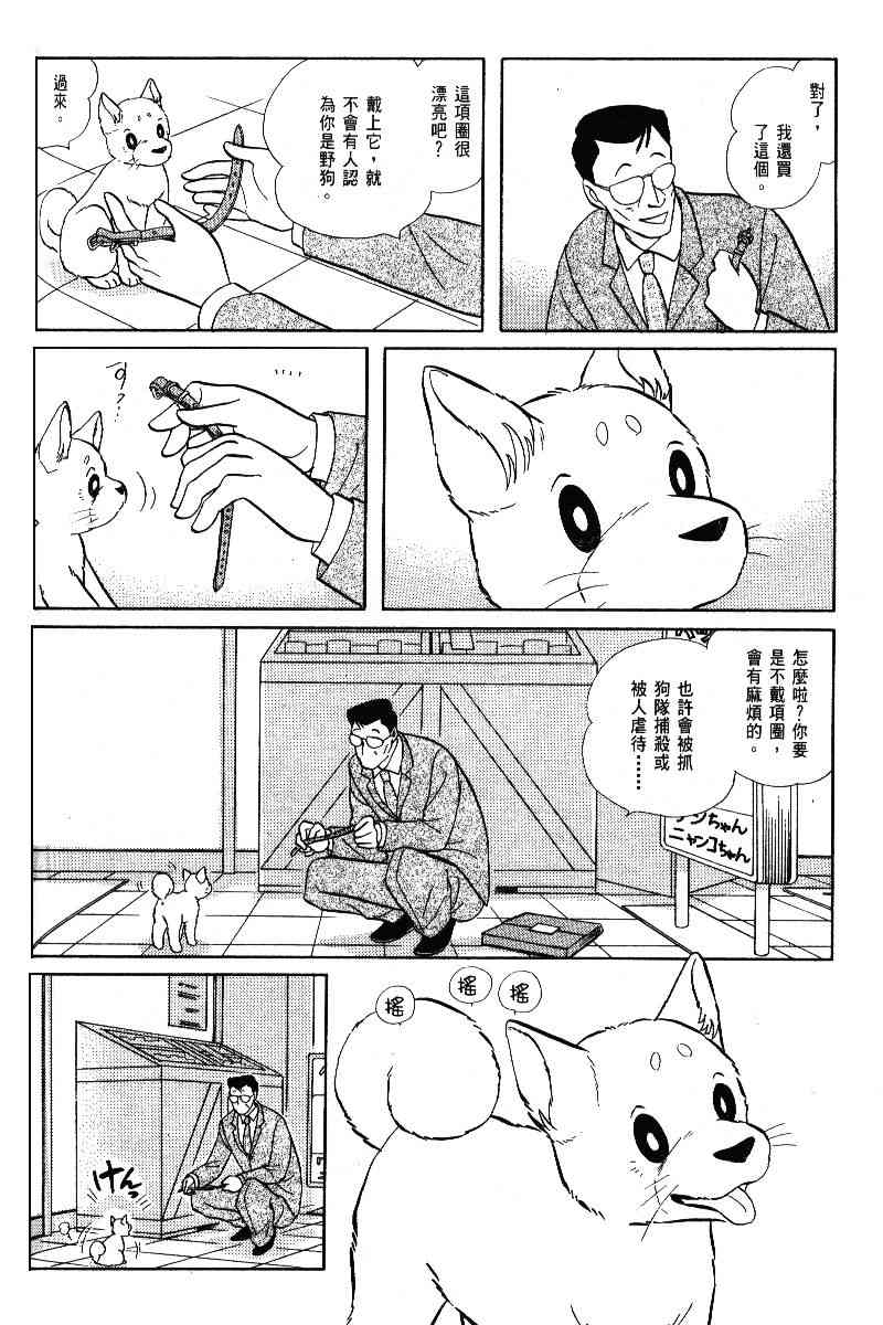 柴王 - VOL05 - 第99张图