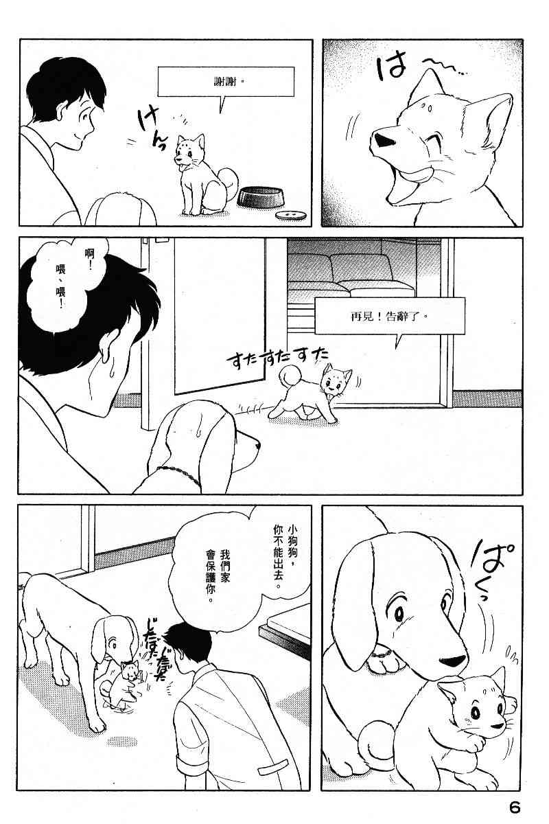 柴王 - VOL05 - 第9张图