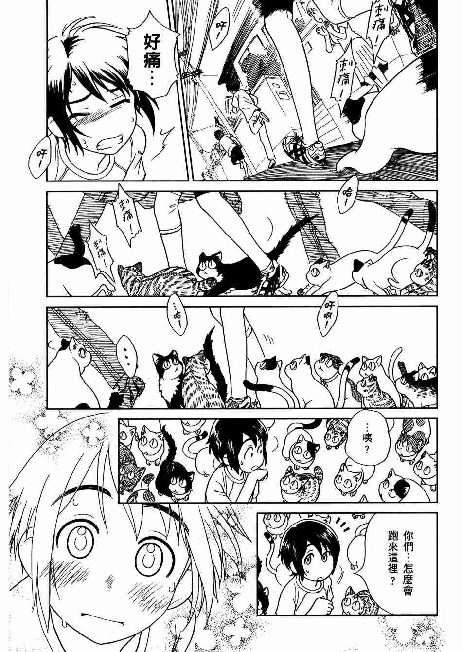 猫又当家 - 第02卷 - 第130张图