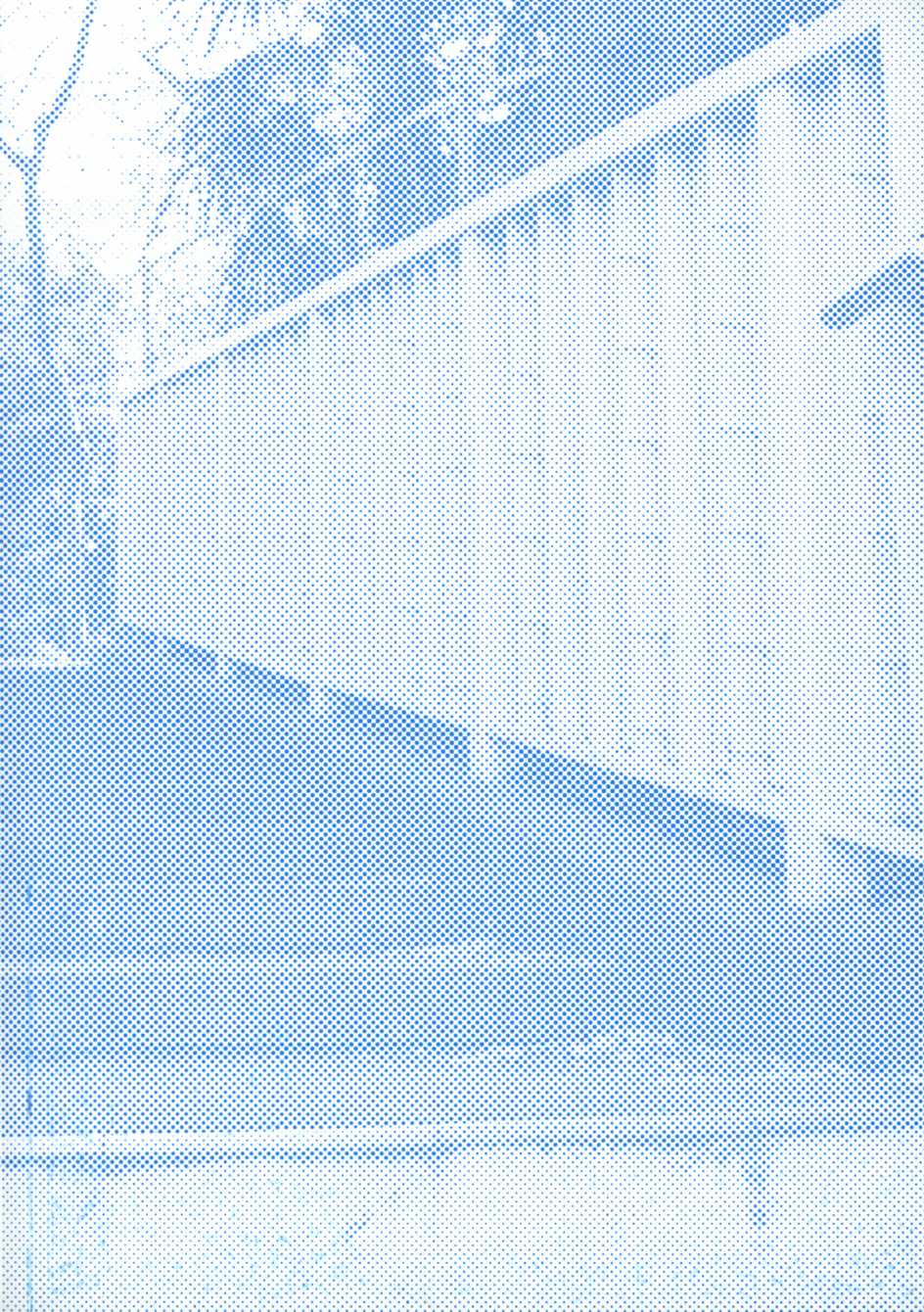 猫又当家 - 第02卷 - 第3张图