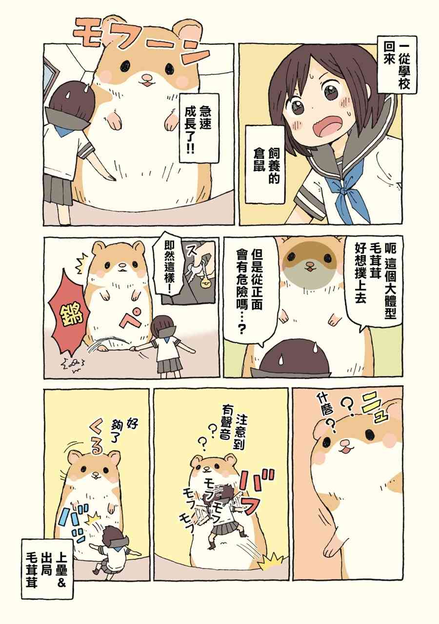 动物日常 - 第07-08话 - 第5张图