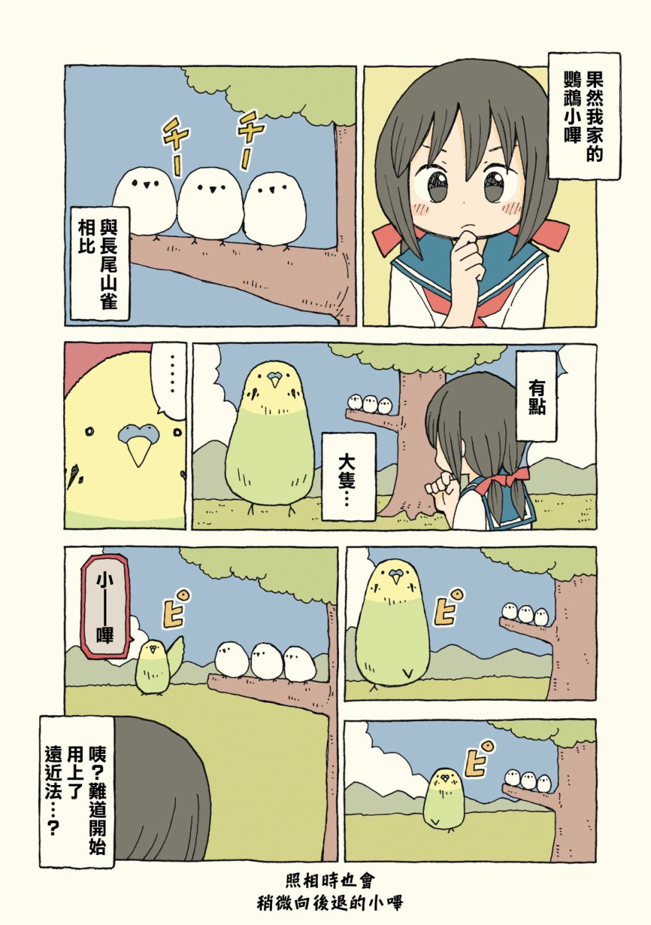 动物日常 - 第11-12话 - 第9张图