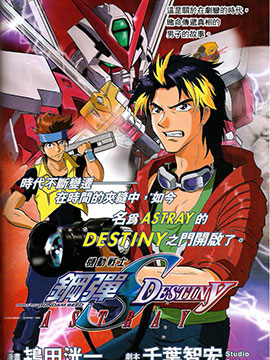 սʿߴSEED DESTINY ASTRAY