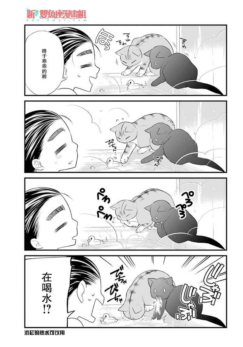 我是猫咪大人的奴仆 - 番外篇01 - 第11张图